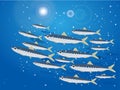 Illustration of a school of sardines Royalty Free Stock Photo
