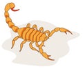 Illustration of scorpion arachnid insect. Ideal for etymology and educational