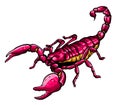 Illustration of scorpion arachnid insect. vector graphics