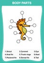 Sea horse vocabulary part of body,Write the correct numbers of body parts