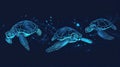 illustration of sea turtles on dark blue background Royalty Free Stock Photo