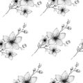 Seamless floral background with hand drawn cherry blossom flowers, monochrome pencil drawing sakura flowers for backgrounds Royalty Free Stock Photo