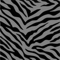Vector illustration of seamless grey zebra pattern Royalty Free Stock Photo