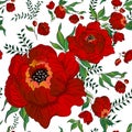 Printeamless pattern with scarlet flowers