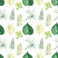 Illustration seamless pattern drawn by watercolor exotic tropical green leaves on background Royalty Free Stock Photo