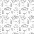 Illustration seamless pattern. Home plants roses and succulents in pots. Royalty Free Stock Photo