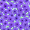 Seamless pattern of small purple flowers on green background Royalty Free Stock Photo