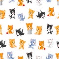 Seamless pattern with various cute cats Royalty Free Stock Photo