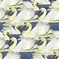 Illustration of seamless pttern with swan on blue background