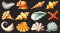 Illustration of seashell set, isolated on black background, with pearl, oyster shell with pearls, mollusk, snail Royalty Free Stock Photo