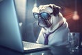 Illustration of a serious dog working on a laptop at the office. French bulldog looking into computer laptop working on a project