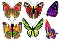 Illustration set butterfly