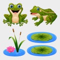 Set of cartoon frog and water lily Royalty Free Stock Photo