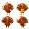 Set of Cartoon Thanksgiving Turkey Bird Mascot Character