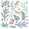 Illustration set of Christmas twigs, berries, leaves. Natural plant elements for creating compositions. Objects isolated