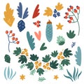 Illustration set of Christmas twigs, berries, leaves. Natural plant elements for creating compositions. Objects isolated