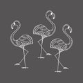 Illustration with a set of flamingos silhouettes isolated on gray background