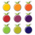 Fruit stickers- icon set