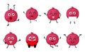 Set of funny pomegranate fruit character