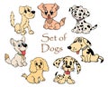 illustration, set of hand-drawn bright diverse funny puppies dogs on a white background, for children Royalty Free Stock Photo