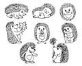 illustration, set of hand-drawn cute funny hedgehogs, for children