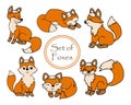 illustration, set of hand-drawn funny orange foxes in various positions