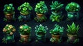 Illustration of a set of indoor plants in pots on a dark background Royalty Free Stock Photo