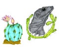 Illustration of a set of lizards, cacti. tropical leaves on a white background