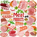 Illustration set  meat products with spices and aromatic herbs Royalty Free Stock Photo