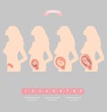 Illustration set of a silhouette of a pregnant woman with an embryo. Royalty Free Stock Photo