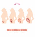 Illustration set of a silhouette of a pregnant woman with an embryo. Royalty Free Stock Photo