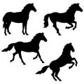 Set of silhouettes of horse figures Royalty Free Stock Photo