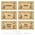 Illustration set spice labels, America