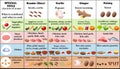 set of spices and herbs and their application for cooking