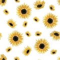 Set of sunflowers isolated on white background, seamless repeat pattern with watercolor sunflower head Royalty Free Stock Photo