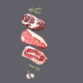 Illustration set of three meat steaks, rosemary, garlic