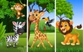 Set of three wild animals with nature background