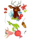 Seth in summer style isolated Deer with berries, flowers, leaves, fruits on a white background Royalty Free Stock Photo