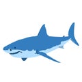 illustration of the best sharks Royalty Free Stock Photo