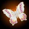 Illustration shining jewelry butterfly brooch with precious stones