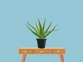Aloe Plant Illustration - Natural Beauty of Healing Succulents