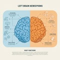 Illustration showing brain hemispheres with contrasting functions. Royalty Free Stock Photo