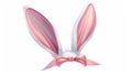 An illustration showing a bunny ears headband and a cute pink hare costume. White rabbit mask, isolated on white