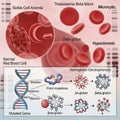 A scientific overview of blood disorders and genetic mutations Royalty Free Stock Photo