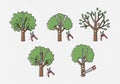 Illustration showing five trees in different stages of pruning Royalty Free Stock Photo