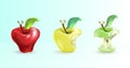 The illustration shows an apple in three forms: whole, bitten, s Royalty Free Stock Photo