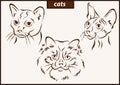 Illustration shows a cats