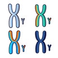 Illustration of human chromosomes, representing genetic information, heredity, and the building blocks of life Royalty Free Stock Photo