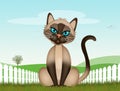 The Siamese cat in the grass