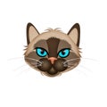 Illustration of siamese kitten face Royalty Free Stock Photo